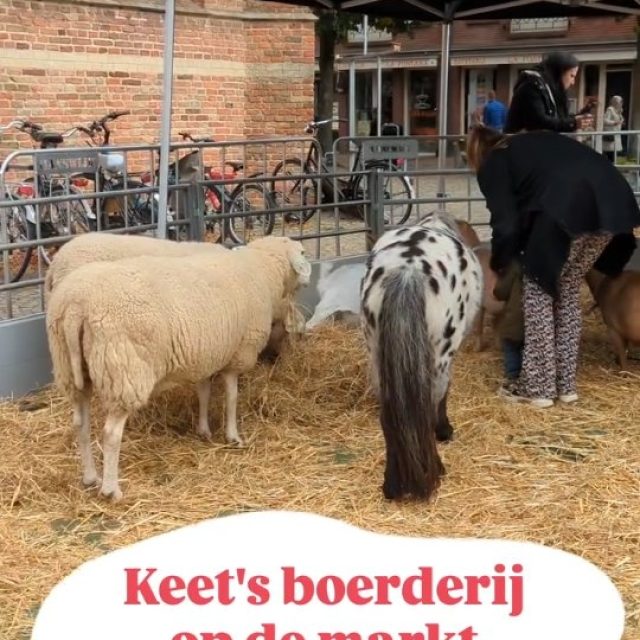 Zaterdag 10 oktober, streekmarkt. Een geweldige dag waarin lokaal voedsel te proeven en te koop is en de ontmoeting met de boer centraal staat. Een mooie afsluiting van de landelijke Week van Ons Eten. Ontmoeten, gesprekken, ontdekken en bewustwording. In de stad waar sfeer en ambacht samenkomt.#fienenteun #stadshartleerdam #streekmarkt#ontmoeten #ambacht