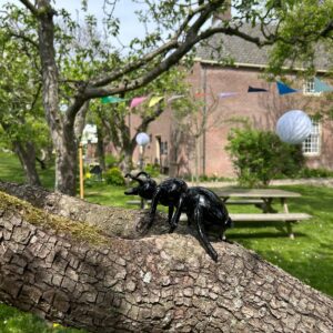 Glaskunst in Hofje van Aerden